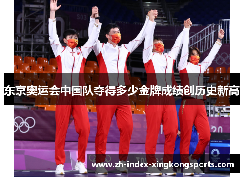 东京奥运会中国队夺得多少金牌成绩创历史新高